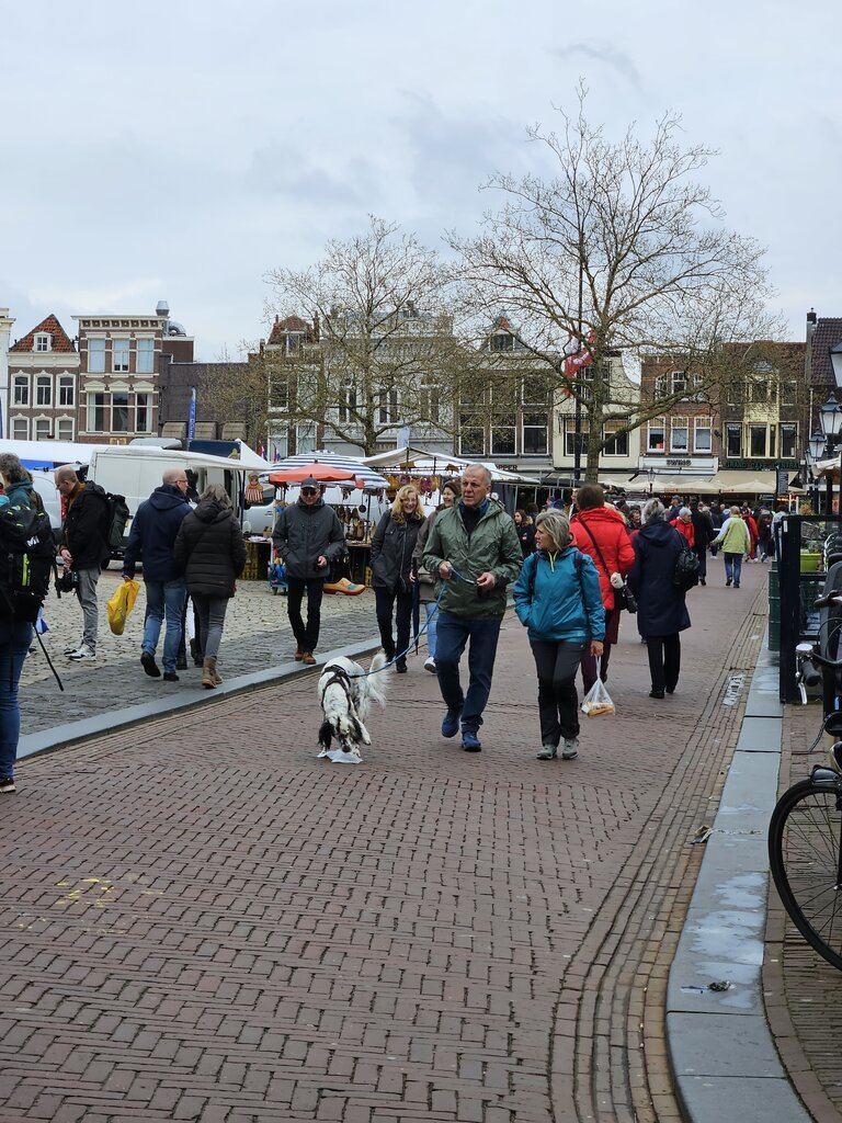 Best chicken road gokkast in Netherlands
